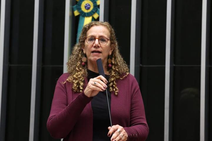 Câmara aprova criação do Sistema Nacional de Enfrentamento da Violência contra Meninas e Mulheres