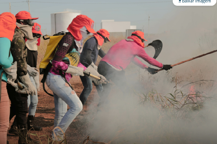 Prefeitura e Bombeiros abrem inscrições para formação de brigadistas em Nova Mutum