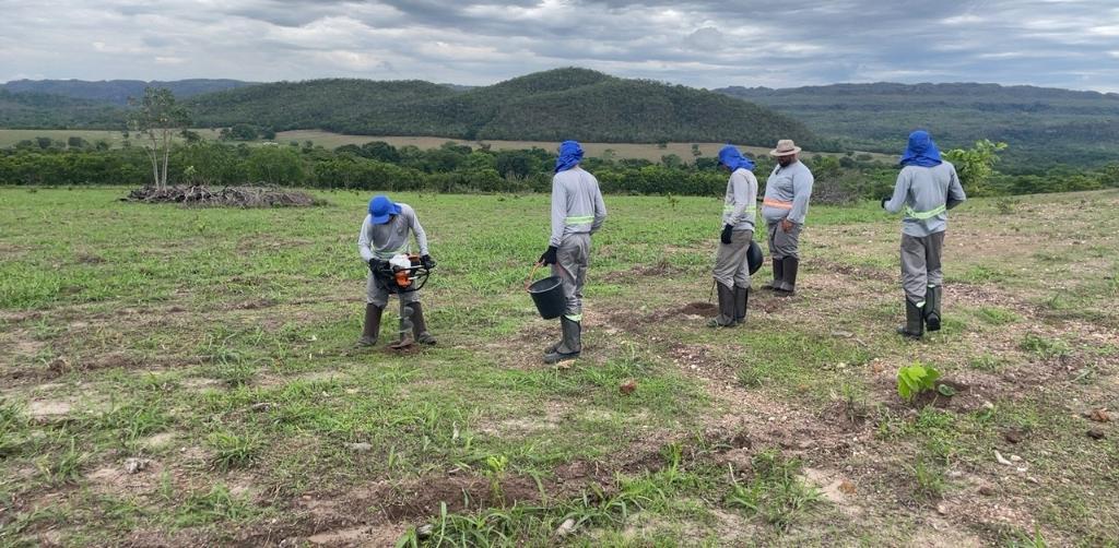 Áreas de recuperação ambiental serão ampliadas com investimentos internacionais