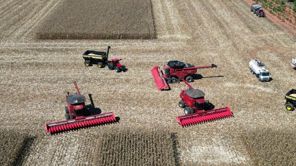 Mato Grosso dá início à colheita da segunda safra nacional de milho