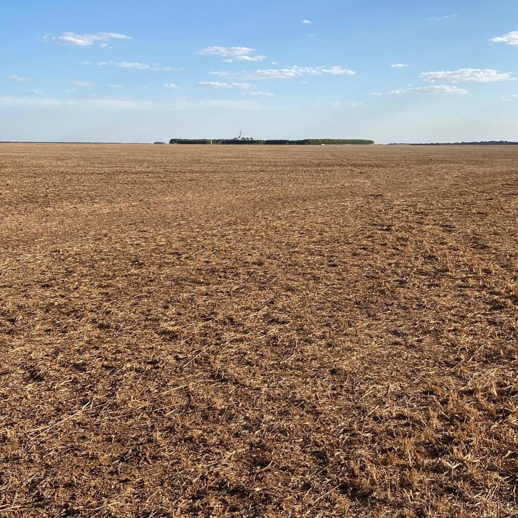 Indea realiza mais duas mil fiscalizações e aplica 12 multas no primeiro mês do vazio sanitário da soja