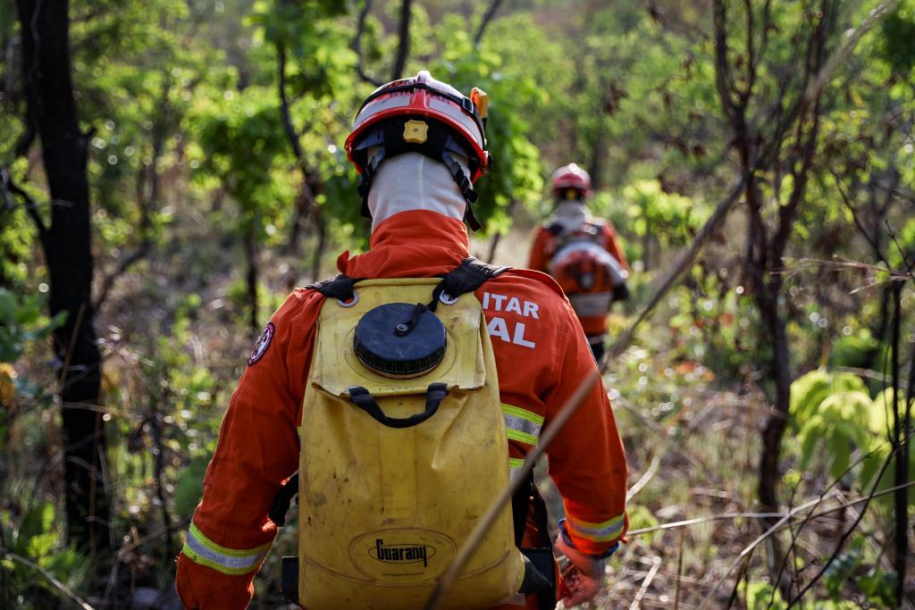 Bombeiros extinguem um incêndio florestal e combatem dois nesta quarta-feira