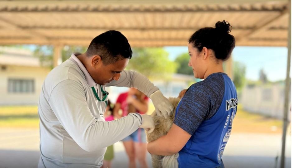 Segunda etapa da campanha de vacinação antirrábica acontece neste sábado em Nova Mutum