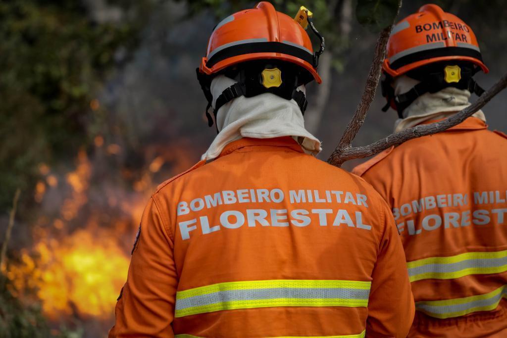 Corpo de Bombeiros combate 22 incêndios florestais neste domingo