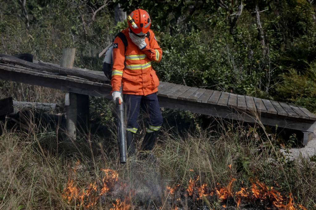Corpo de Bombeiros combate 31 incêndios florestais nesta quarta-feira