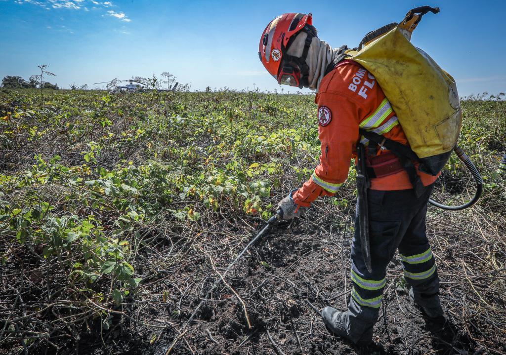Corpo de Bombeiros combate 38 incêndios florestais neste domingo