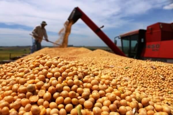 Soja tem tímidos ganhos nesta 5ª feira em Chicago, se dividindo entre a China e o USDA