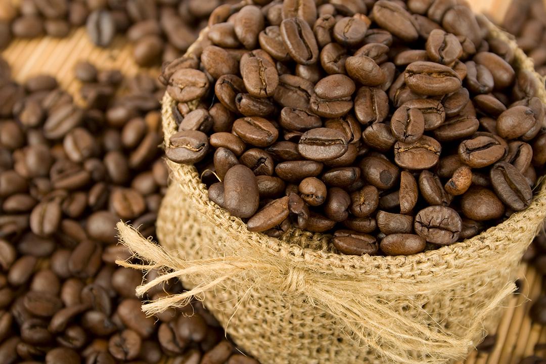 Após Natal, preços do café arábica trabalhavam em campo misto em NY na manhã desta 6ª feira