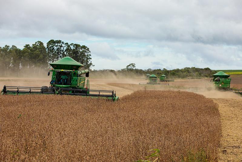 Mesmo com ajustes na safra, MT mantém liderança nacional com apoio de incentivos e crédito