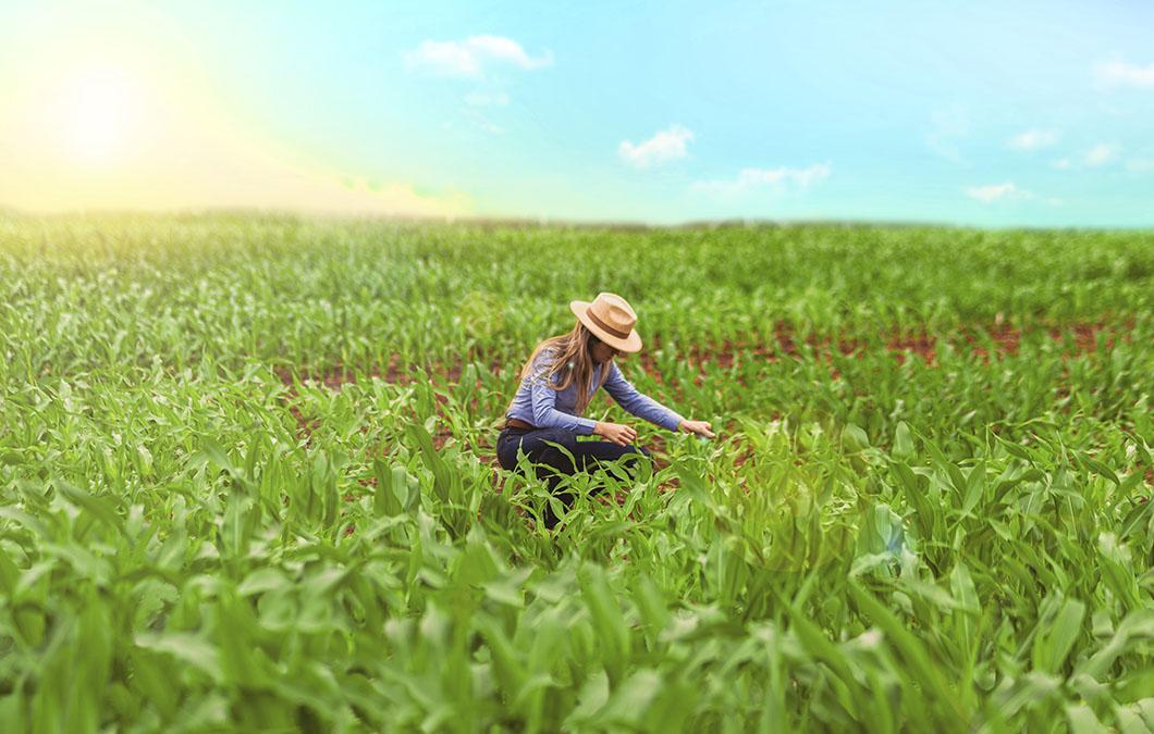 Agro bate recorde de empregos no 3º trimestre de 2025