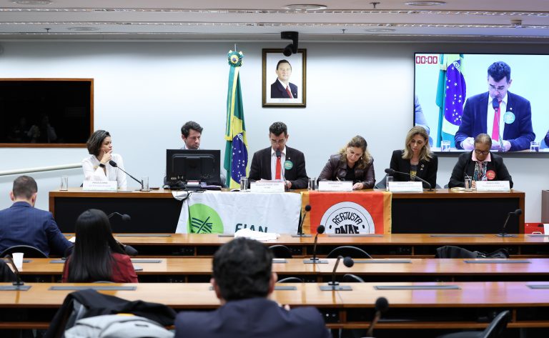 Participantes de audiência defendem reajuste anual automático para verba da merenda escolar
