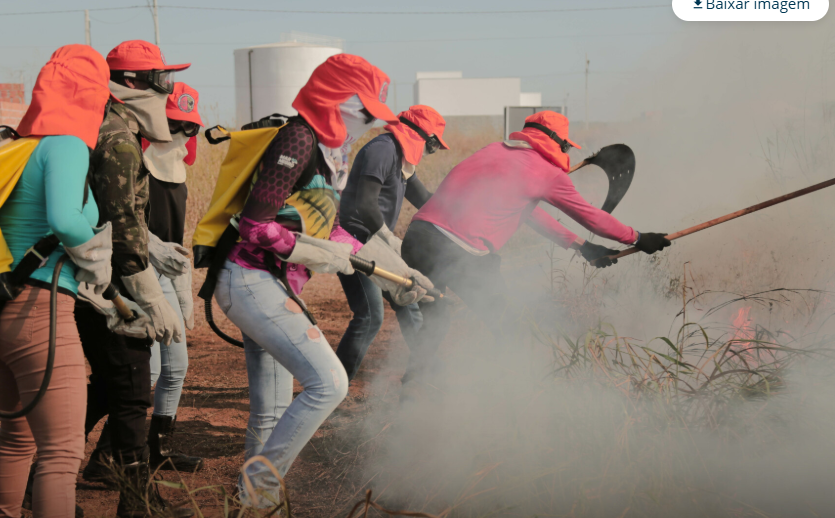 Prefeitura e Bombeiros abrem inscrições para formação de brigadistas em Nova Mutum